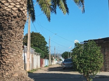 Imagen 21