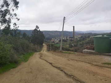 Imagen 7