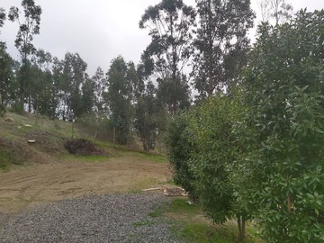 Imagen 13