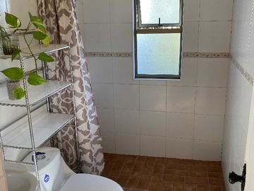 Imagen 11