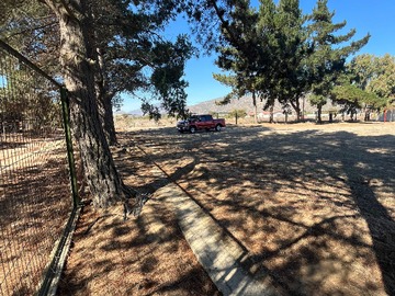 Imagen 21