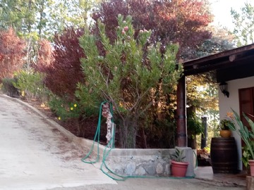 Imagen 26