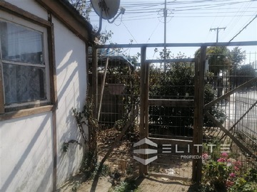 Imagen 13