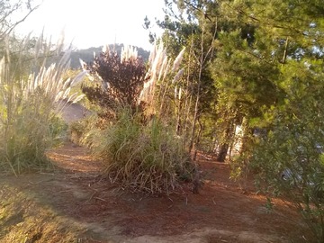 Imagen 29