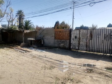 Imagen 25