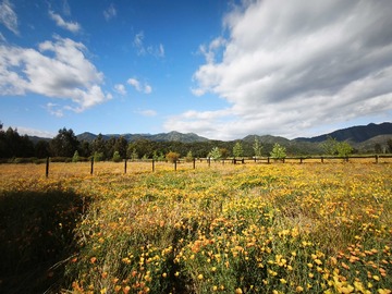 Venta / Casa / Casablanca