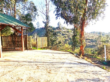 Imagen 5