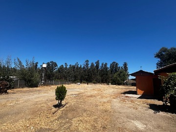 Imagen 4