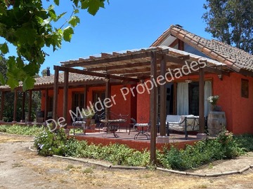 Imagen 11