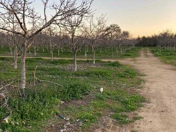 Venta / Casa / Casablanca