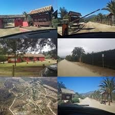 Imagen 31