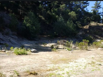 Imagen 8