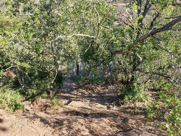 Venta / Casa / Casablanca