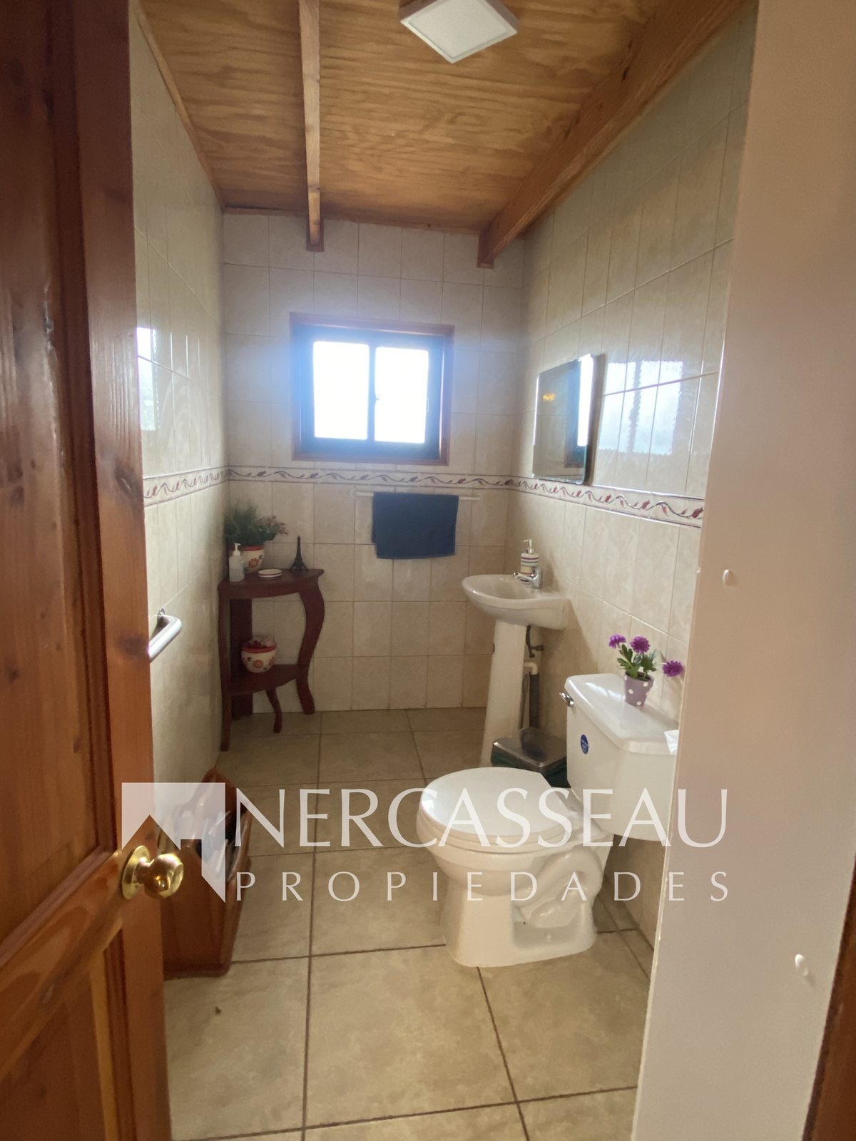 Baño de visitas