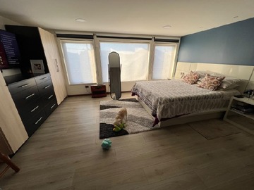 Imagen 6