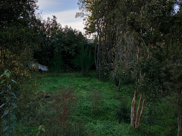Alrededores