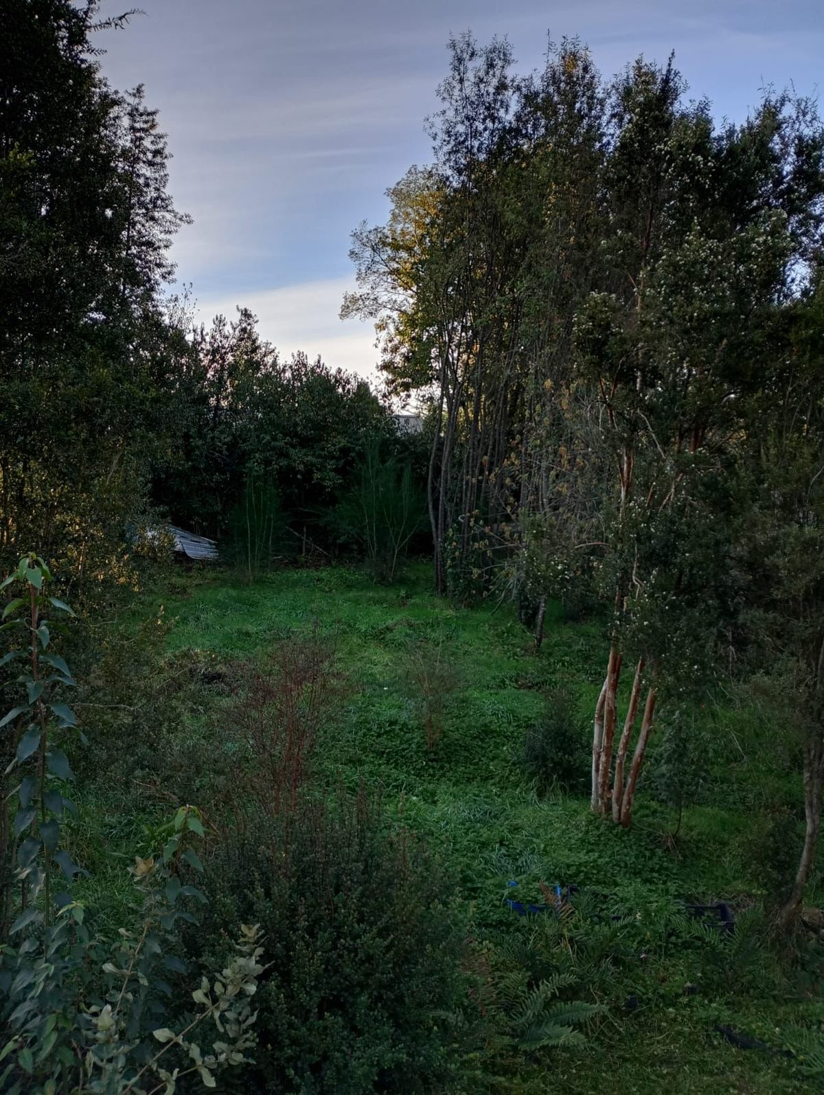 Alrededores