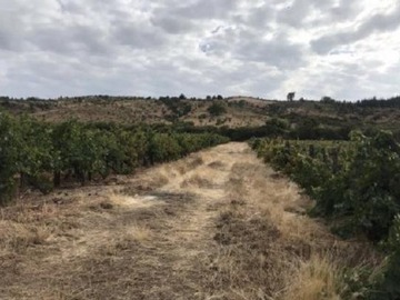 Venta / Casa / Cauquenes