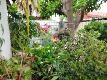 Venta / Casa / Cerrillos