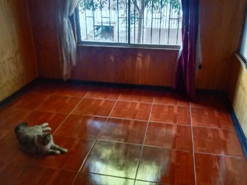 Venta / Casa / Cerrillos