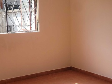 Imagen 13