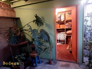 Imagen 4