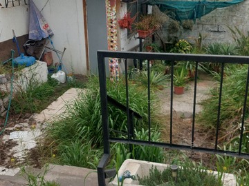 Imagen 11