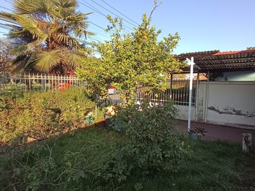 Imagen 10