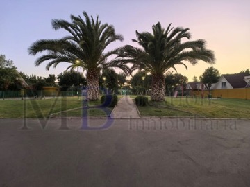 Imagen 28