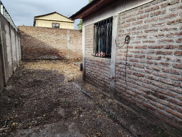 Imagen 5