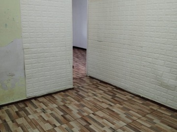 Imagen 11