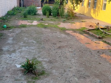Imagen 7