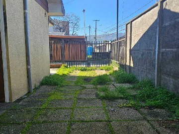 Imagen 11