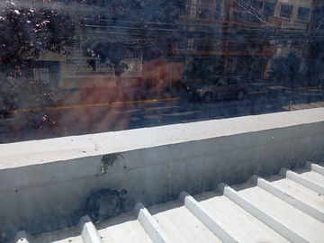 Imagen 11