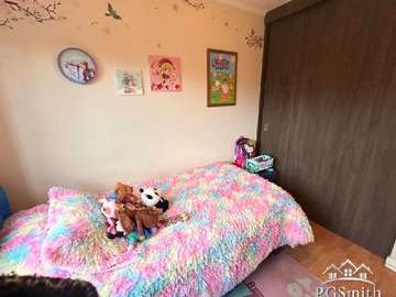 Imagen 9