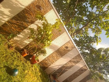Imagen 7