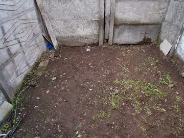 Imagen 5