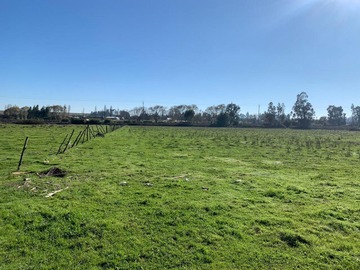 Venta / Casa / Chillán Viejo