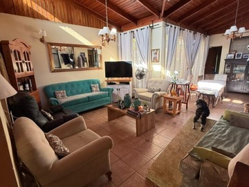 Imagen 12