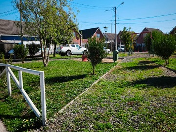 Imagen 8