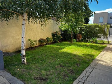 Imagen 18