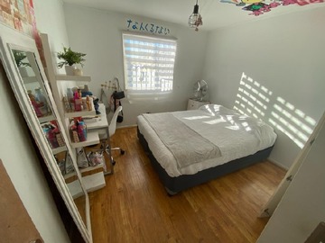 Imagen 5