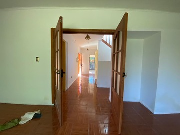 Imagen 5