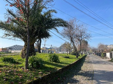 Imagen 9