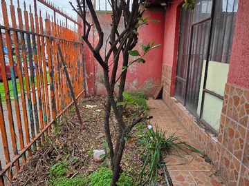 Venta / Casa / Chillán