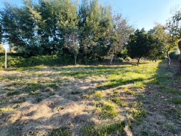 Venta / Casa / Chillán