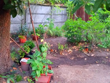Venta / Casa / Chillán