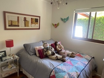 Imagen 21