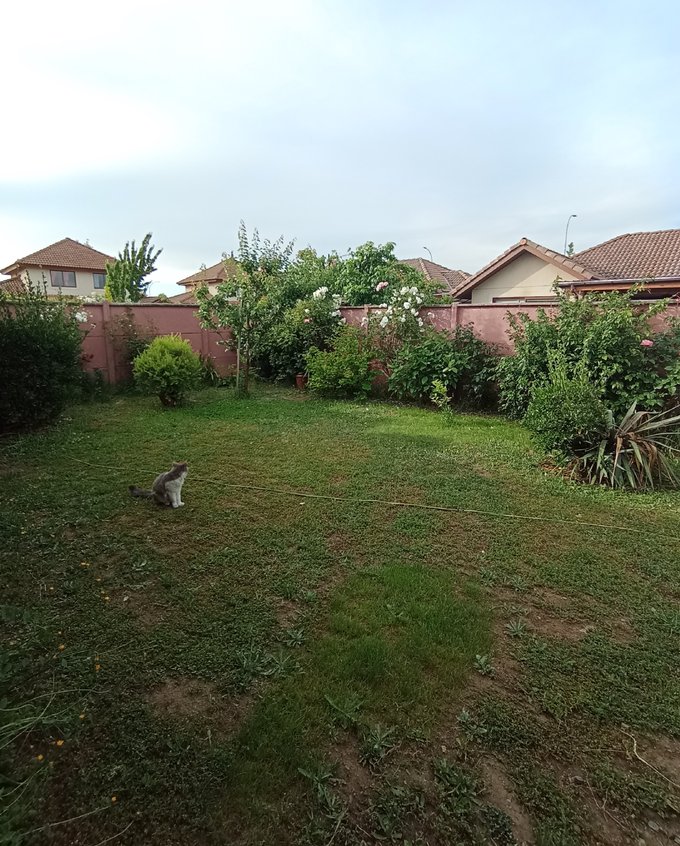 Jardin