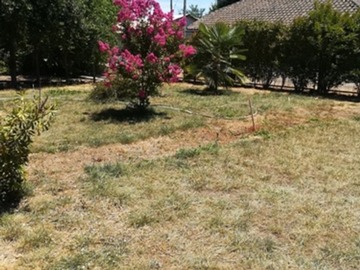 Imagen 15